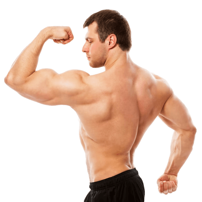 Everfit Gym