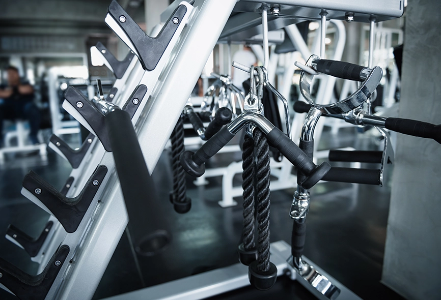 Strength Equipments - Everfit Gym